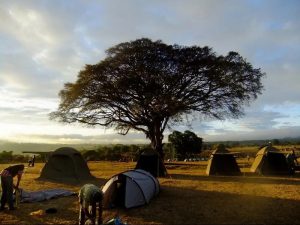 Отдых в Африке фото